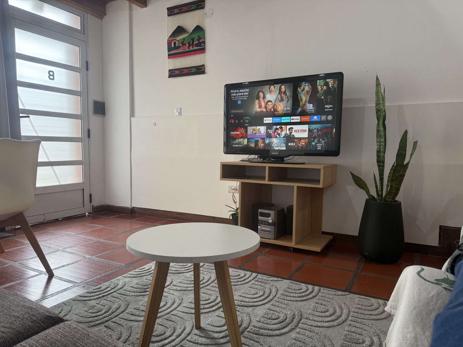 Living con smart tv y planta – Tempo B, Posadas